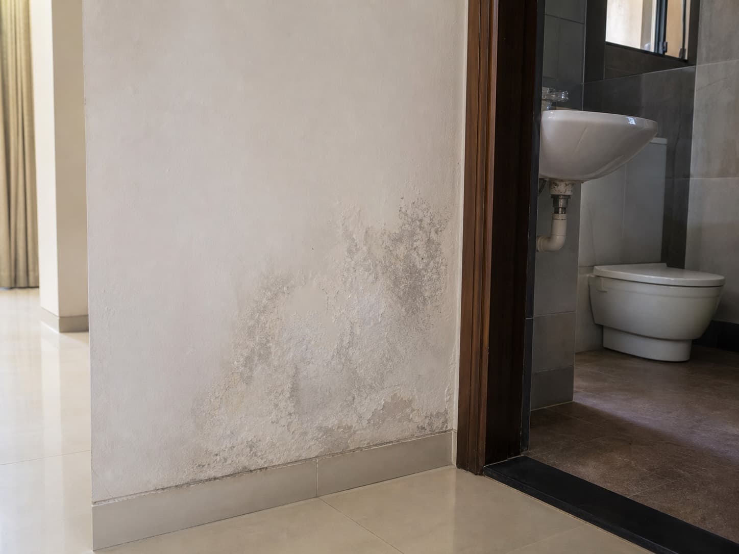 Moisture patch on an apartment wall beside a bathroom