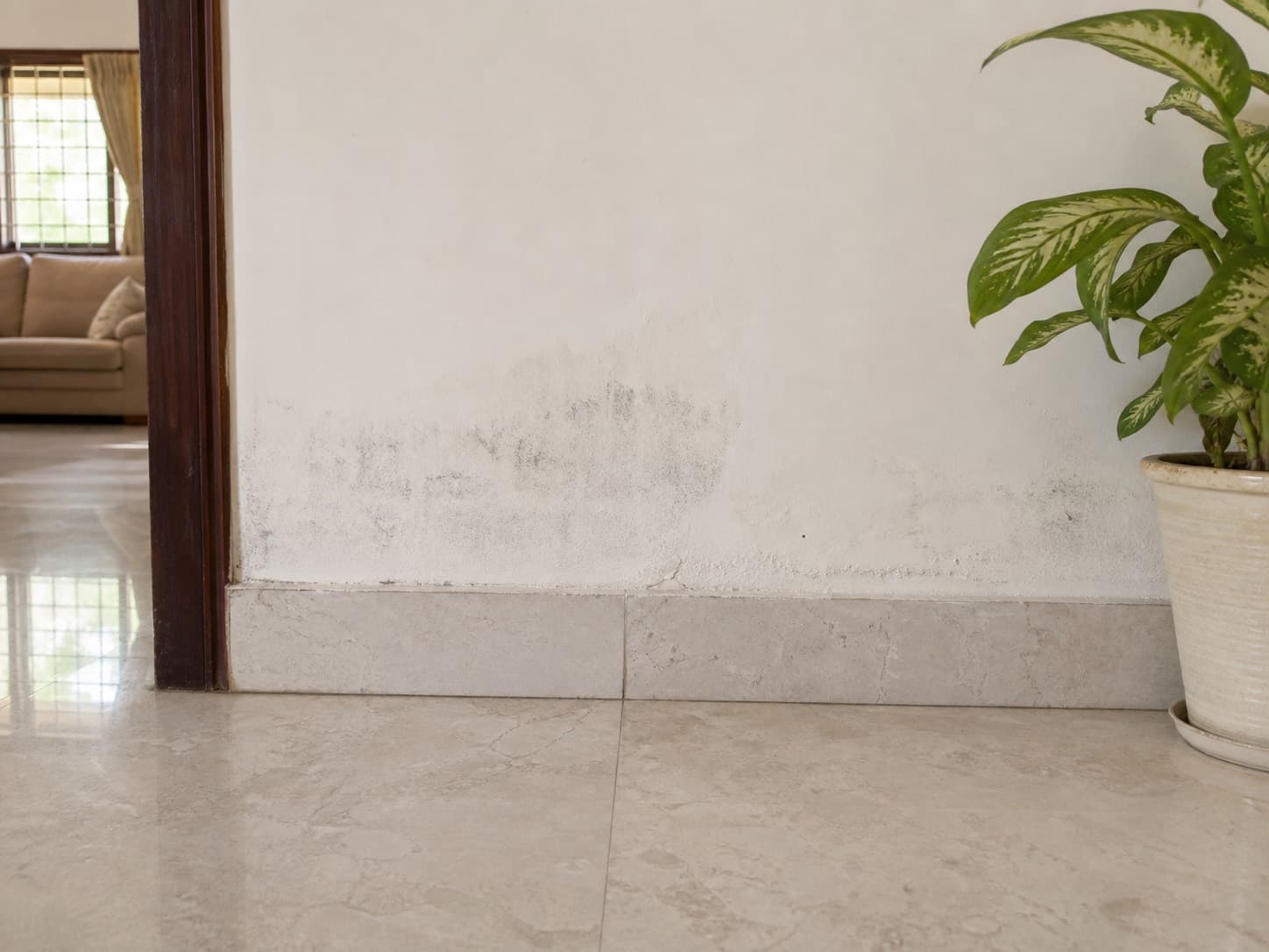 Damp patch along the lower portion of an interior wall