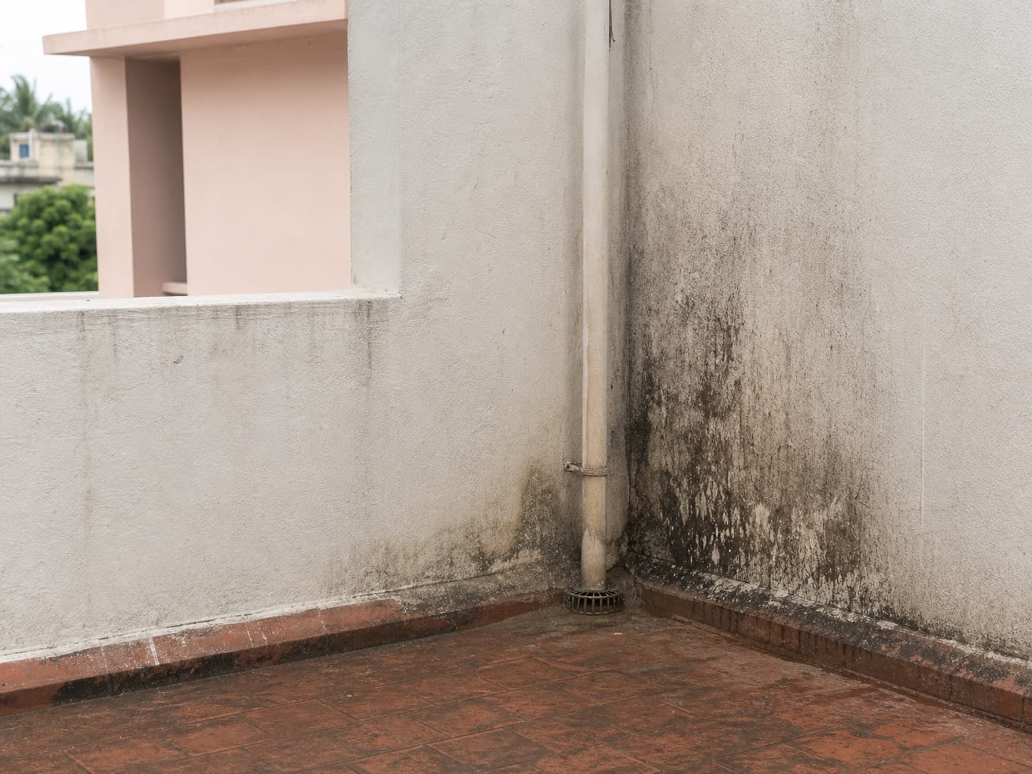 Damp staining at a terrace drainage and exterior wall junction